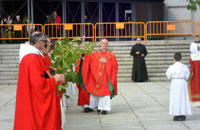Celebración del Domingo de Ramos