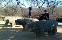 Preselección de candidatos para la Escolanía