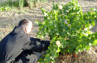 Visita de los novicios al monasterio de El Tiemblo