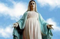 Celebración de la Inmaculada Concepción