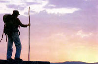 Noticias de inicios de enero