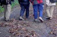 Peregrinaciones en noviembre