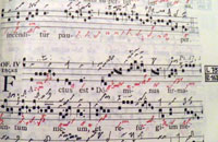 Reunión de "Nova Schola"