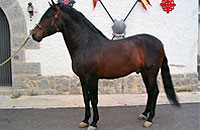 Visita cultural y peregrinación de la Escolanía del Valle de los Caídos a Ávila.